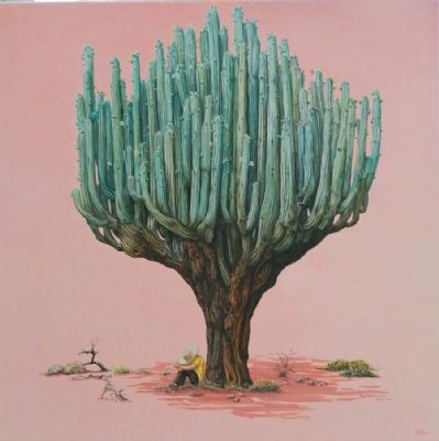 Siesta, Kaktus fra Mexico.